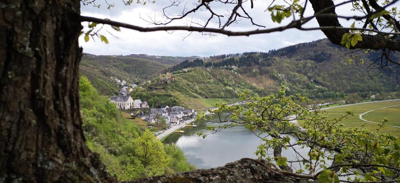 Ferienwohnungen Am Bruttiger Moselsteig Bagian luar foto