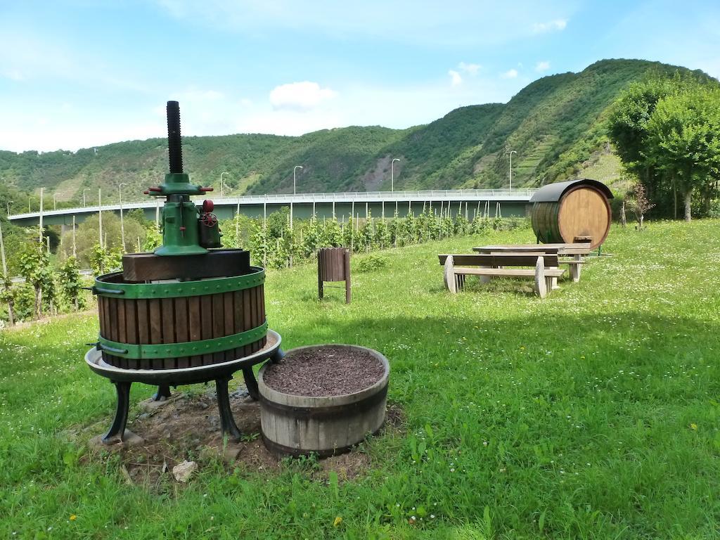 Ferienwohnungen Am Bruttiger Moselsteig Ruang foto