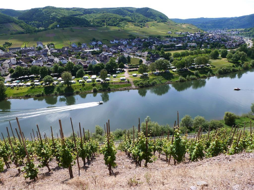 Ferienwohnungen Am Bruttiger Moselsteig Bagian luar foto