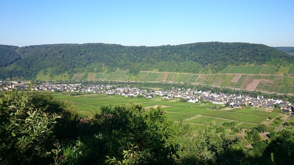 Ferienwohnungen Am Bruttiger Moselsteig Bagian luar foto