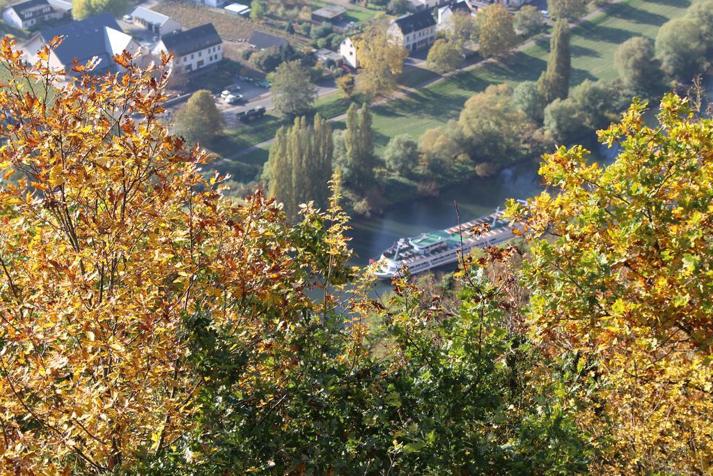 Ferienwohnungen Am Bruttiger Moselsteig Bagian luar foto
