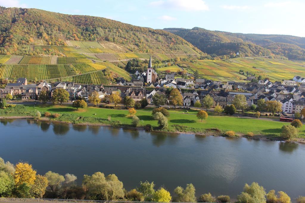 Ferienwohnungen Am Bruttiger Moselsteig Bagian luar foto