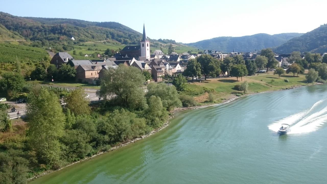 Ferienwohnungen Am Bruttiger Moselsteig Bagian luar foto