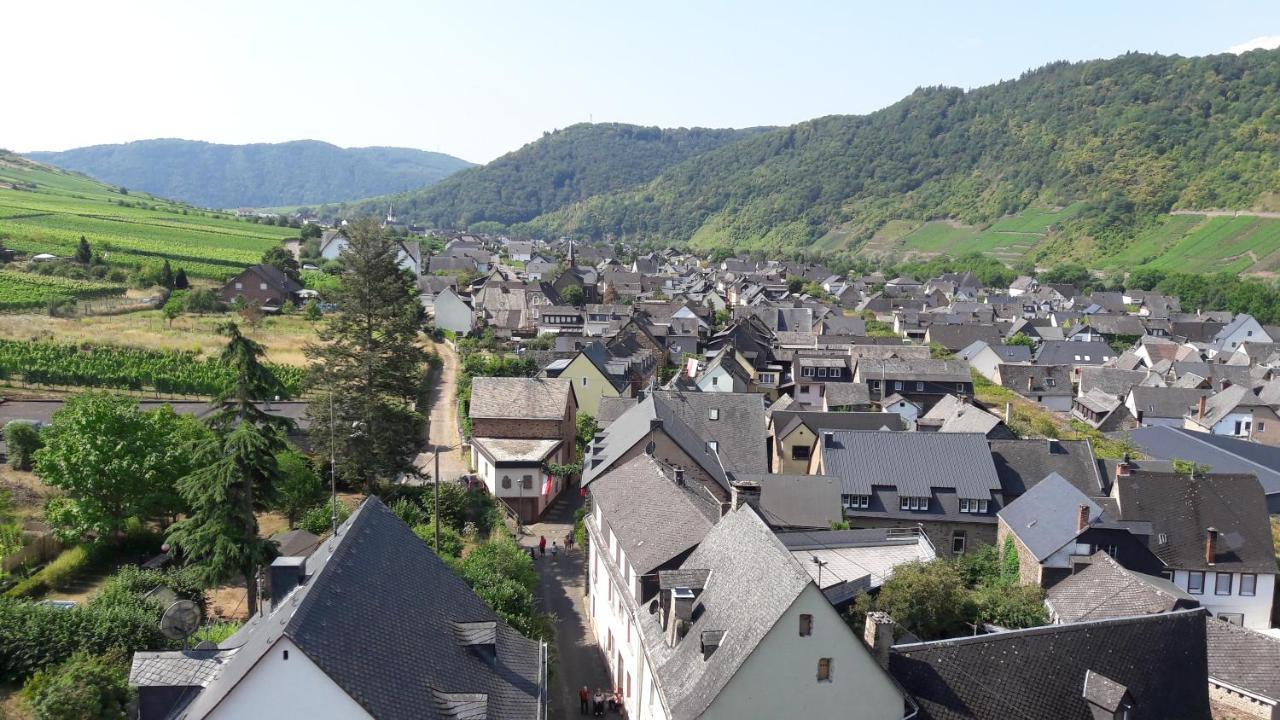 Ferienwohnungen Am Bruttiger Moselsteig Bagian luar foto