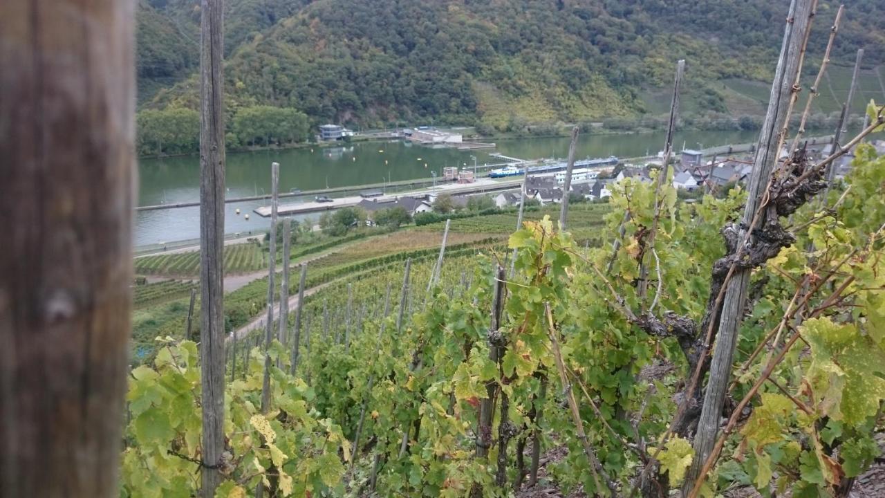 Ferienwohnungen Am Bruttiger Moselsteig Bagian luar foto