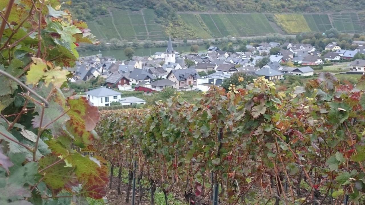 Ferienwohnungen Am Bruttiger Moselsteig Bagian luar foto